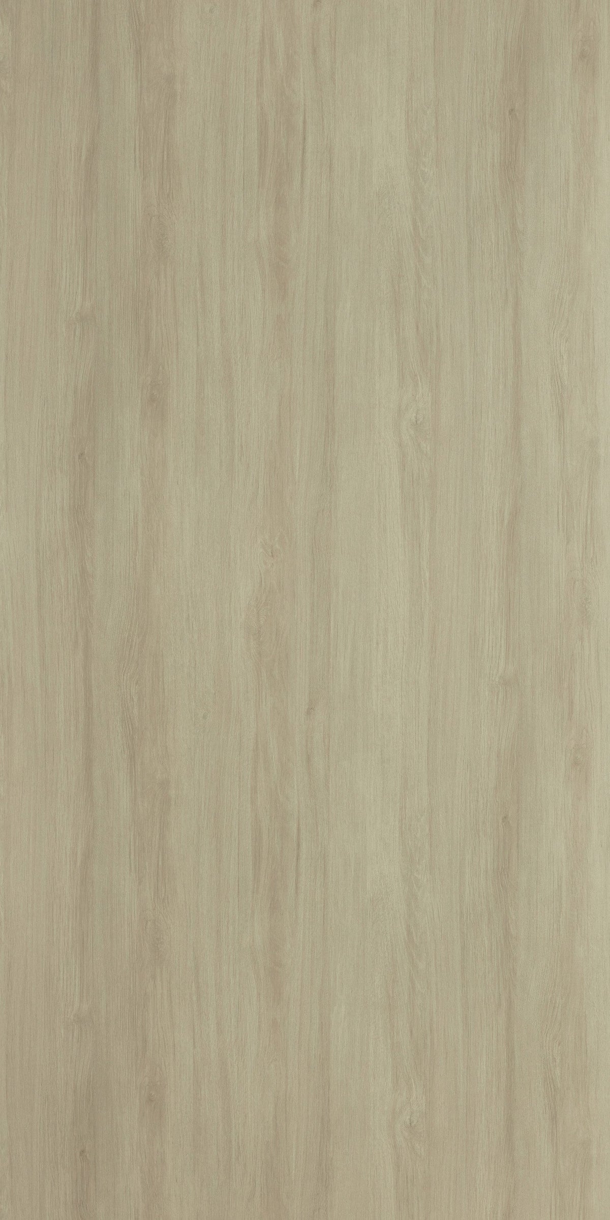 CLAUDIO OAK — KWG 1184