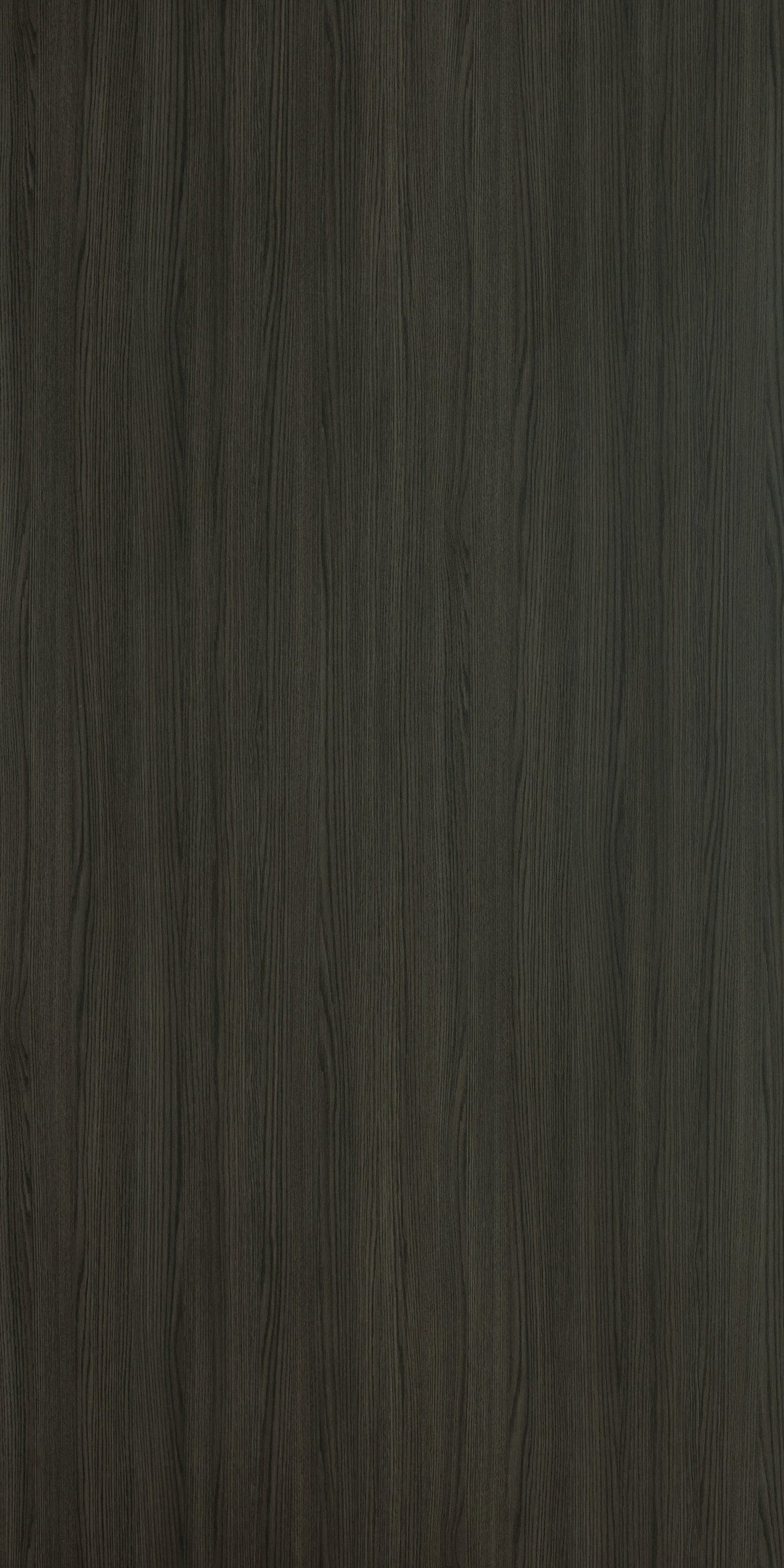 MODENA ASH — KWG 1279