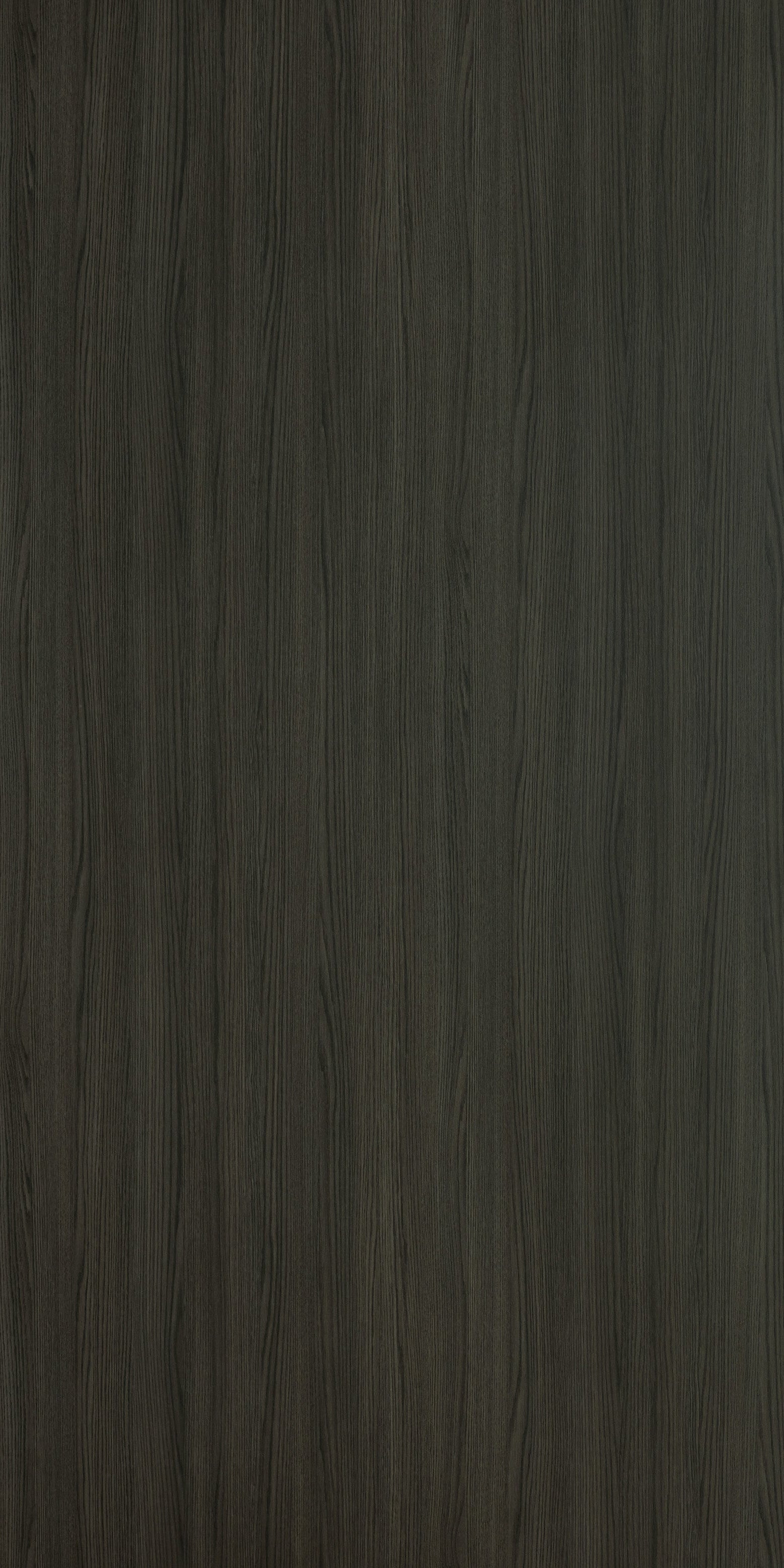 MODENA ASH — KWG 1279