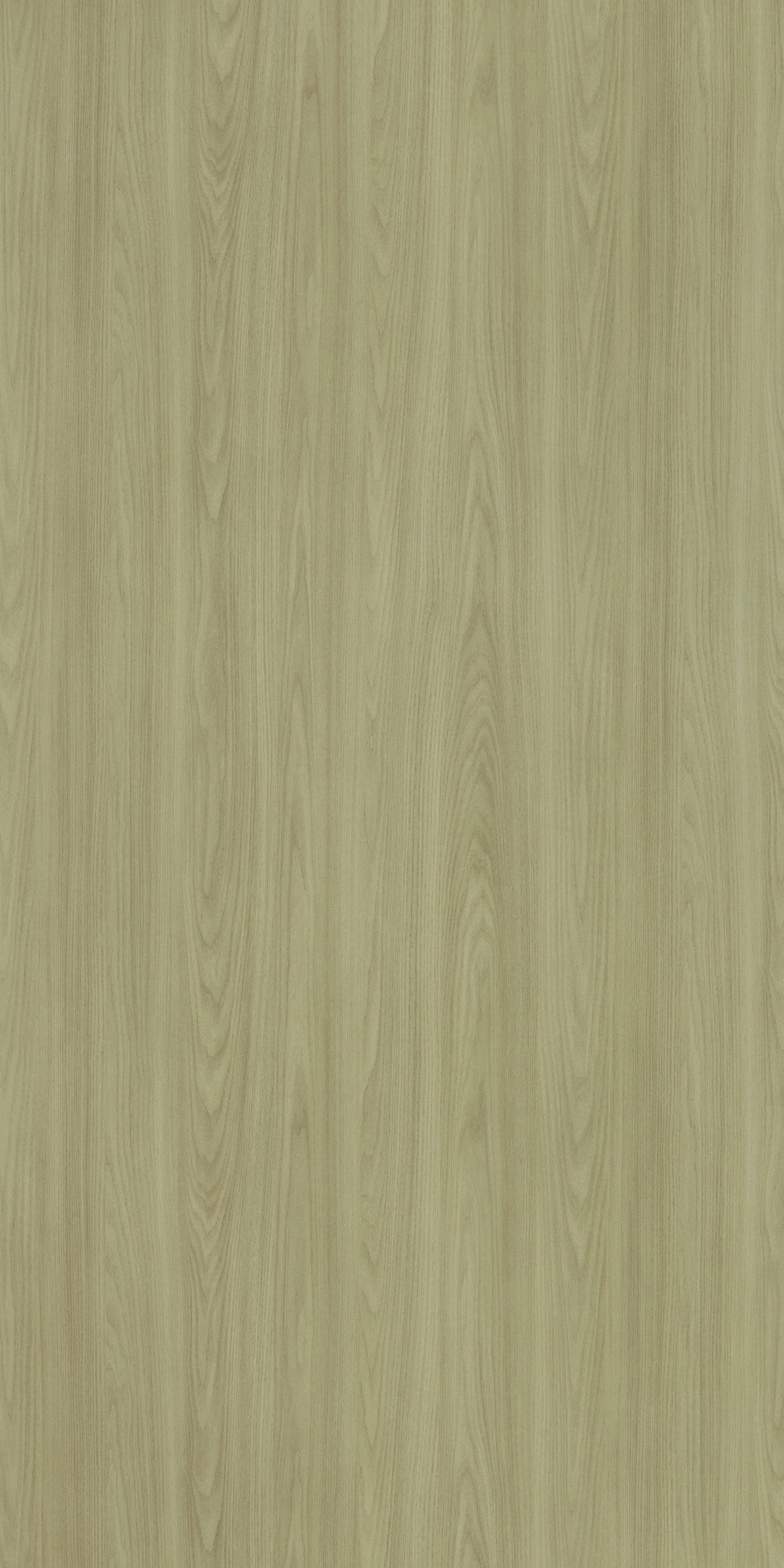MASSIMO OAK