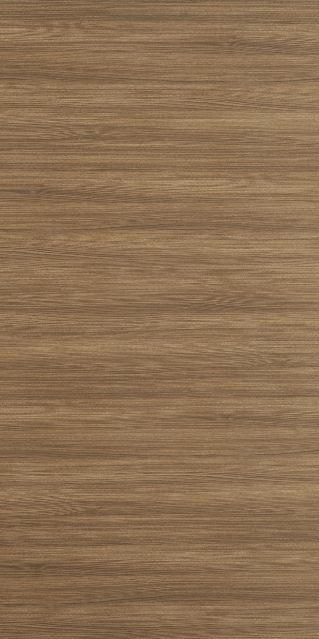 SAANTIAGO HORIZONTAL