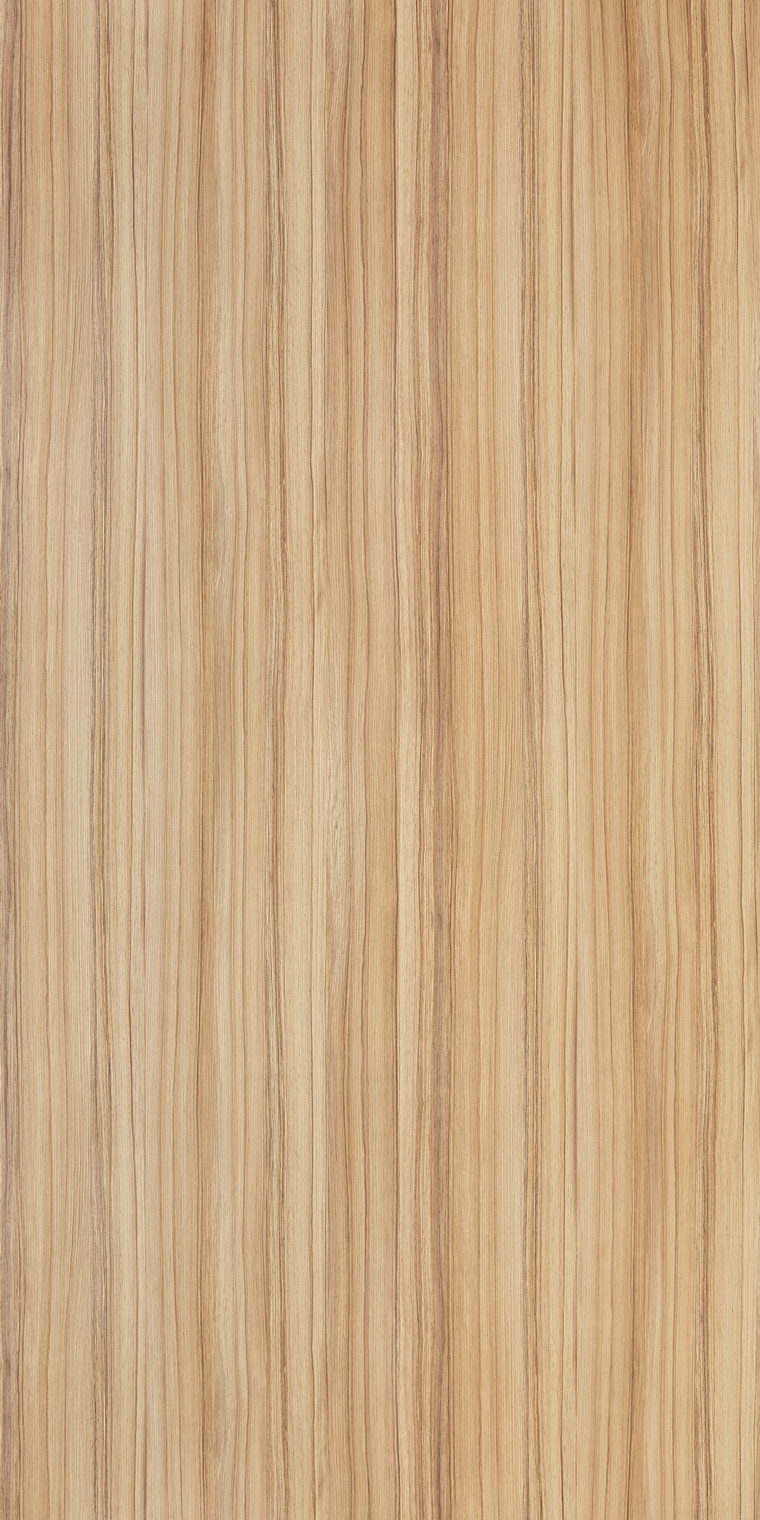 COLO BOLO TEAK