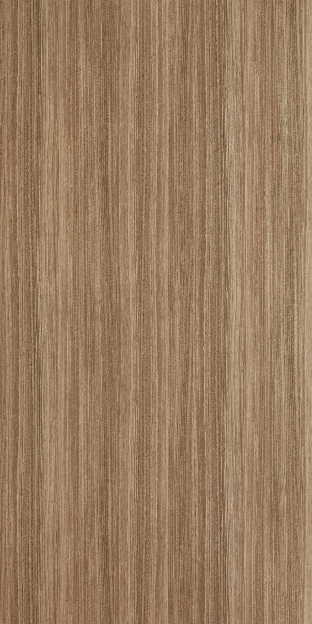 GIANFRANCO TEAK GLOSS