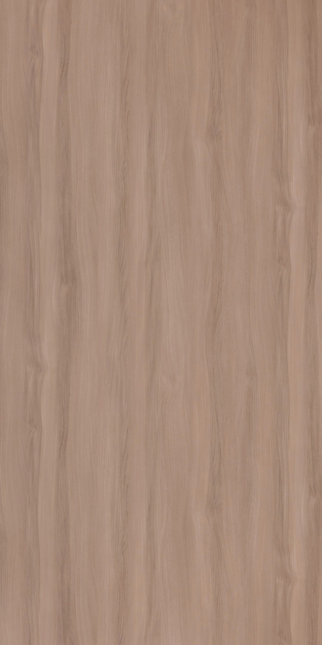 ARLO ELM