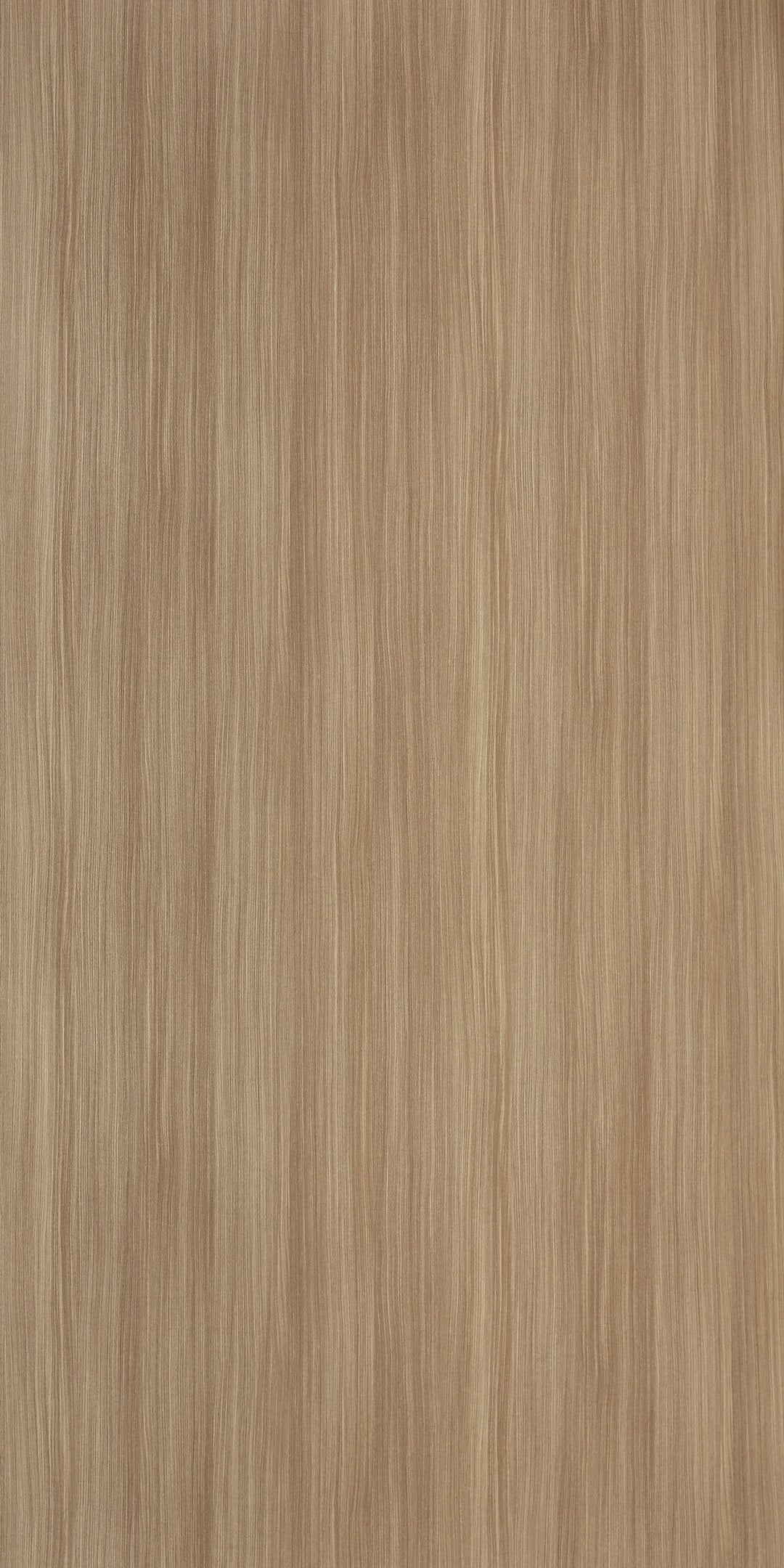 BRAGA TEAK