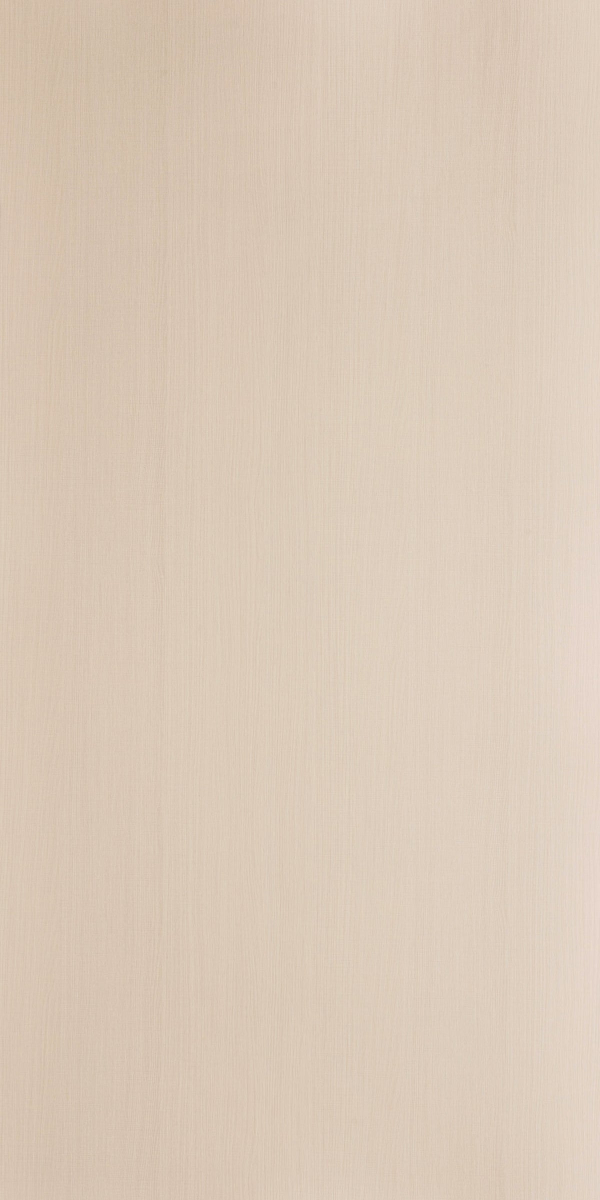 CAGLI ELM
