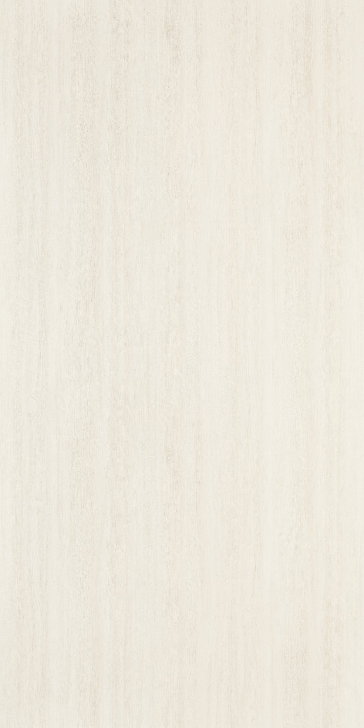 CANNES OAK
