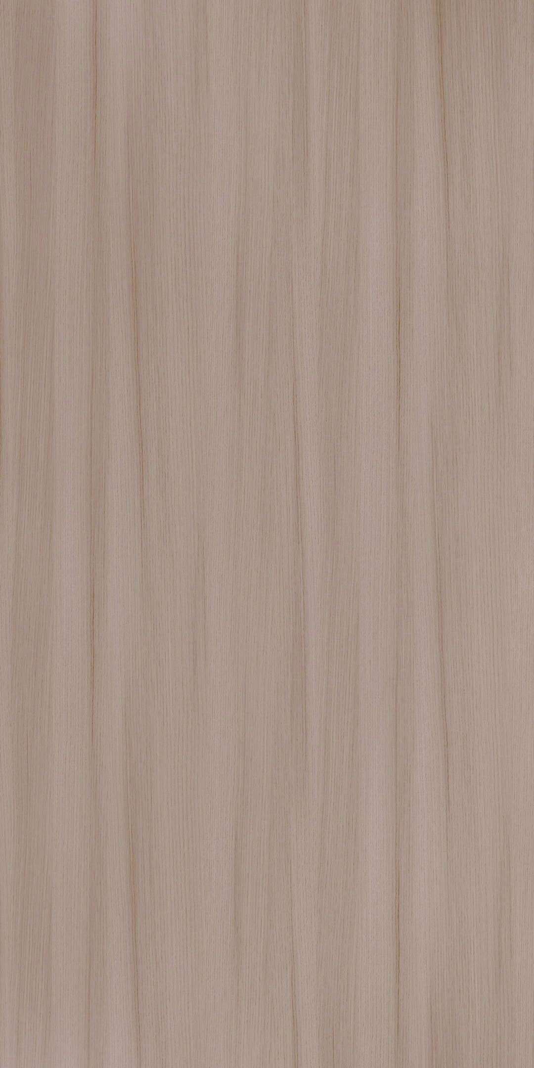 ISTANBUL WALNUT