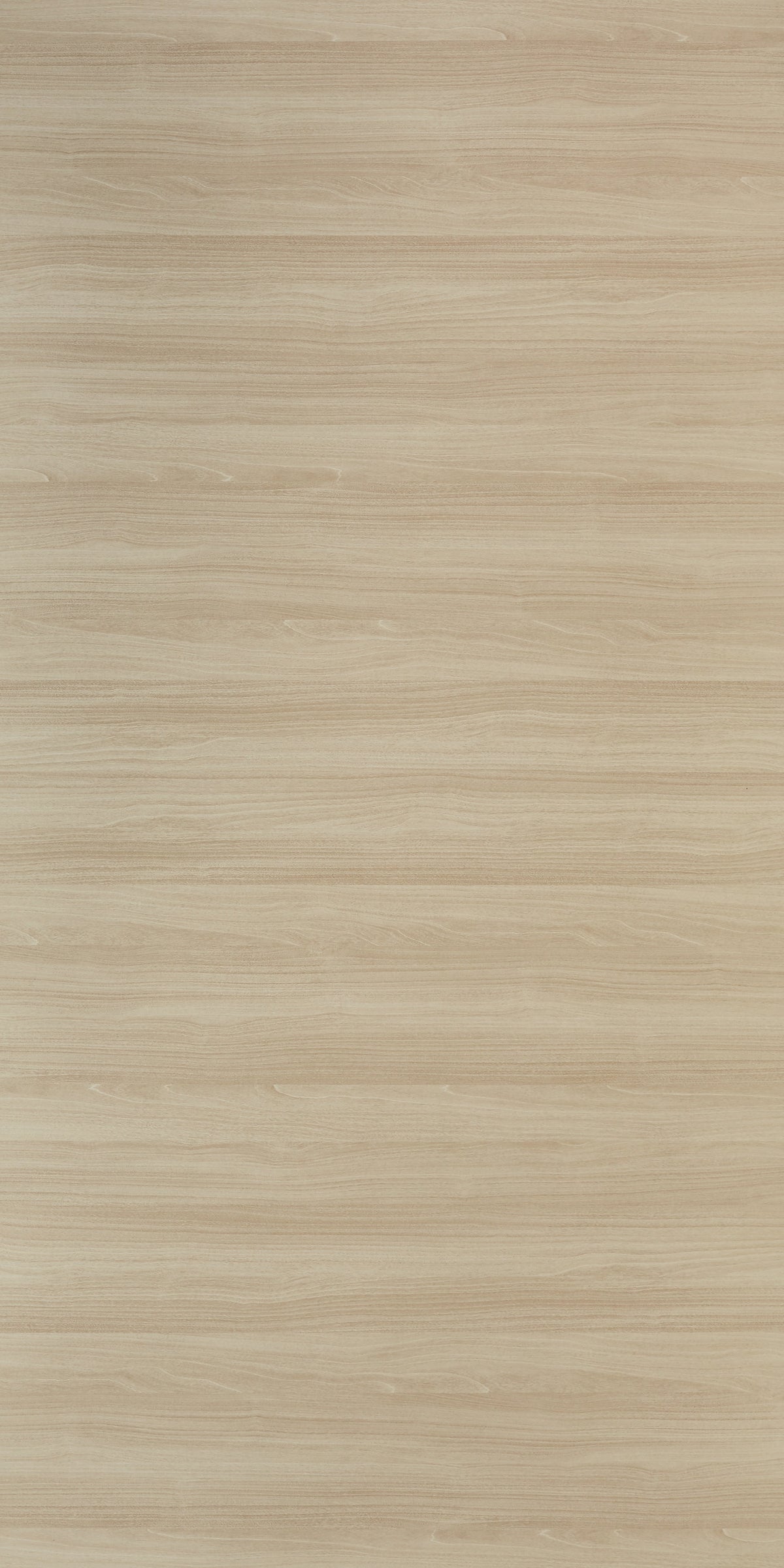 TREVI MAPLE HORIZONTAL