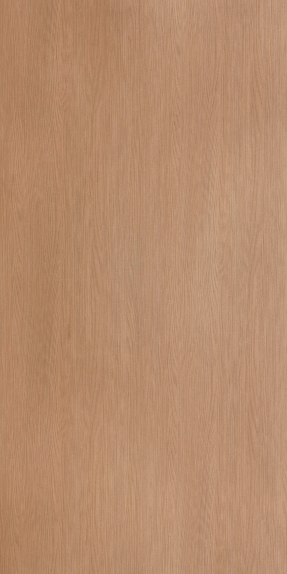 MOMPEO MAPLE