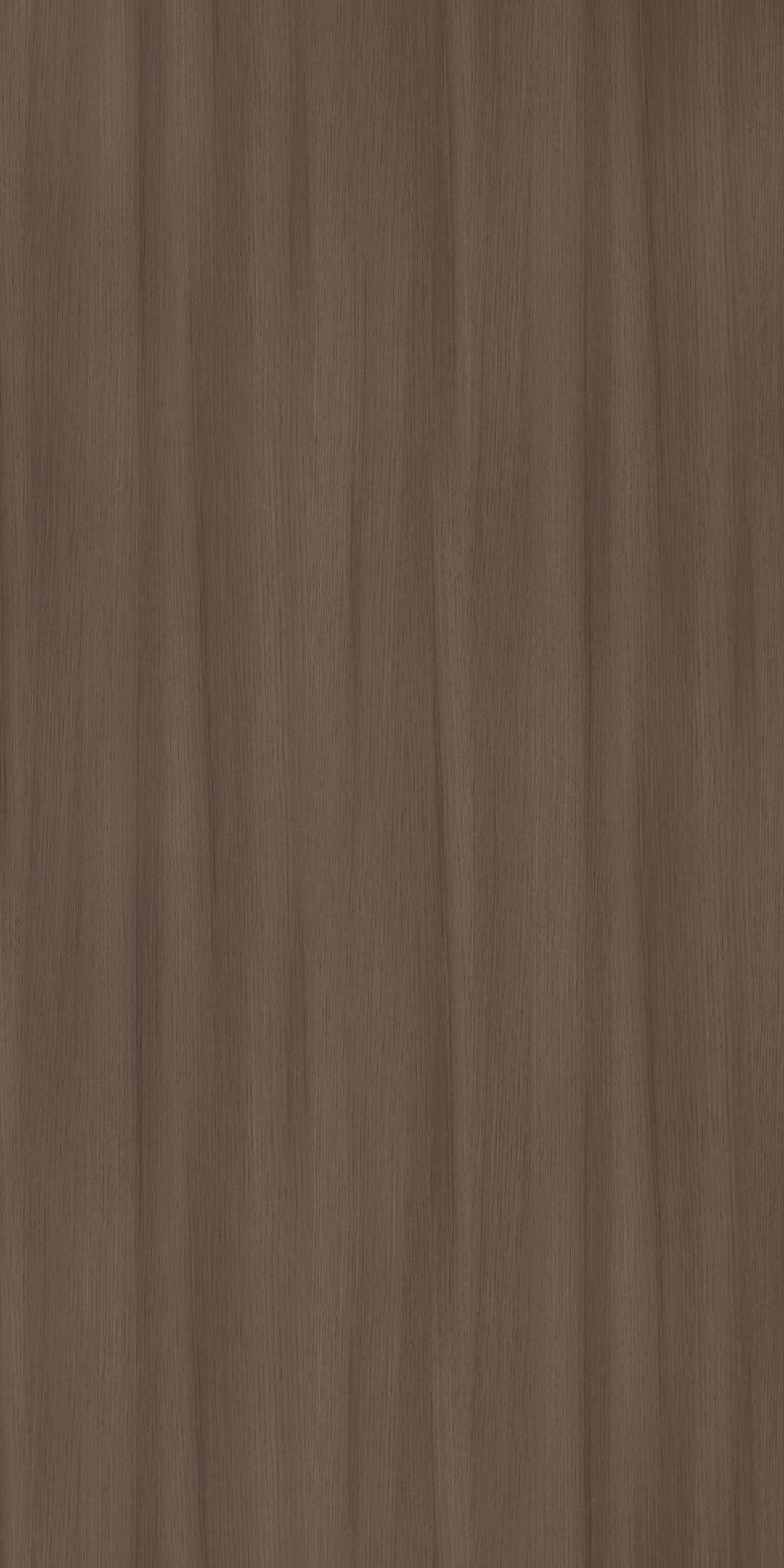 MOSCOW WALNUT