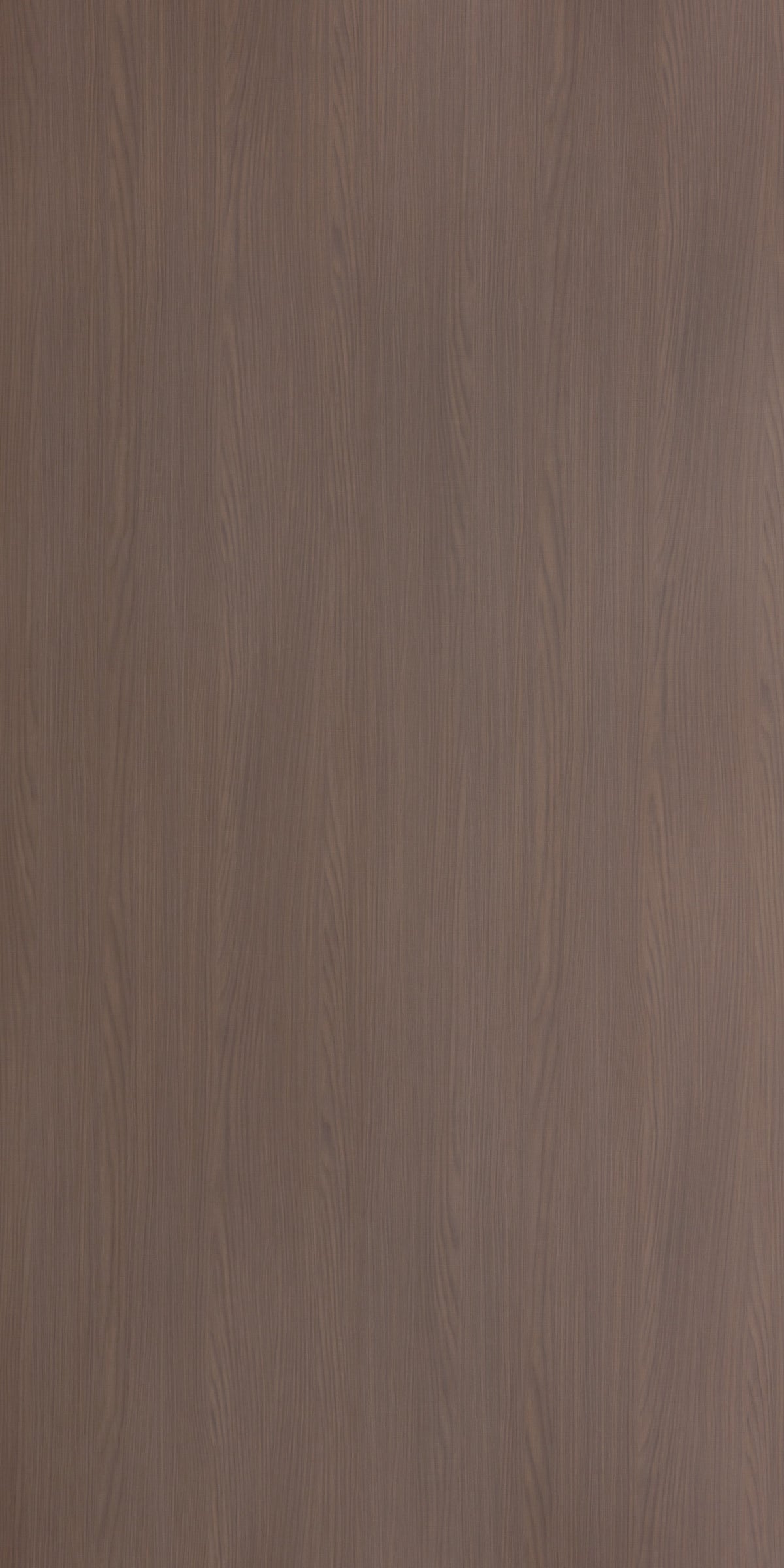 PUFI MAPLE